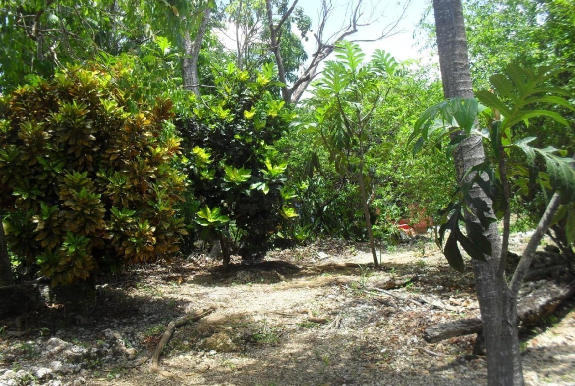 Fourth image of Schoolfield, Prosper in Prosper, St. Elizabeth, Jamaica - property is For Sale