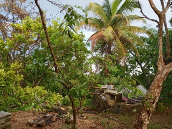 First image of Schoolfield, Prosper in Prosper, St. Elizabeth, Jamaica - property is For Sale