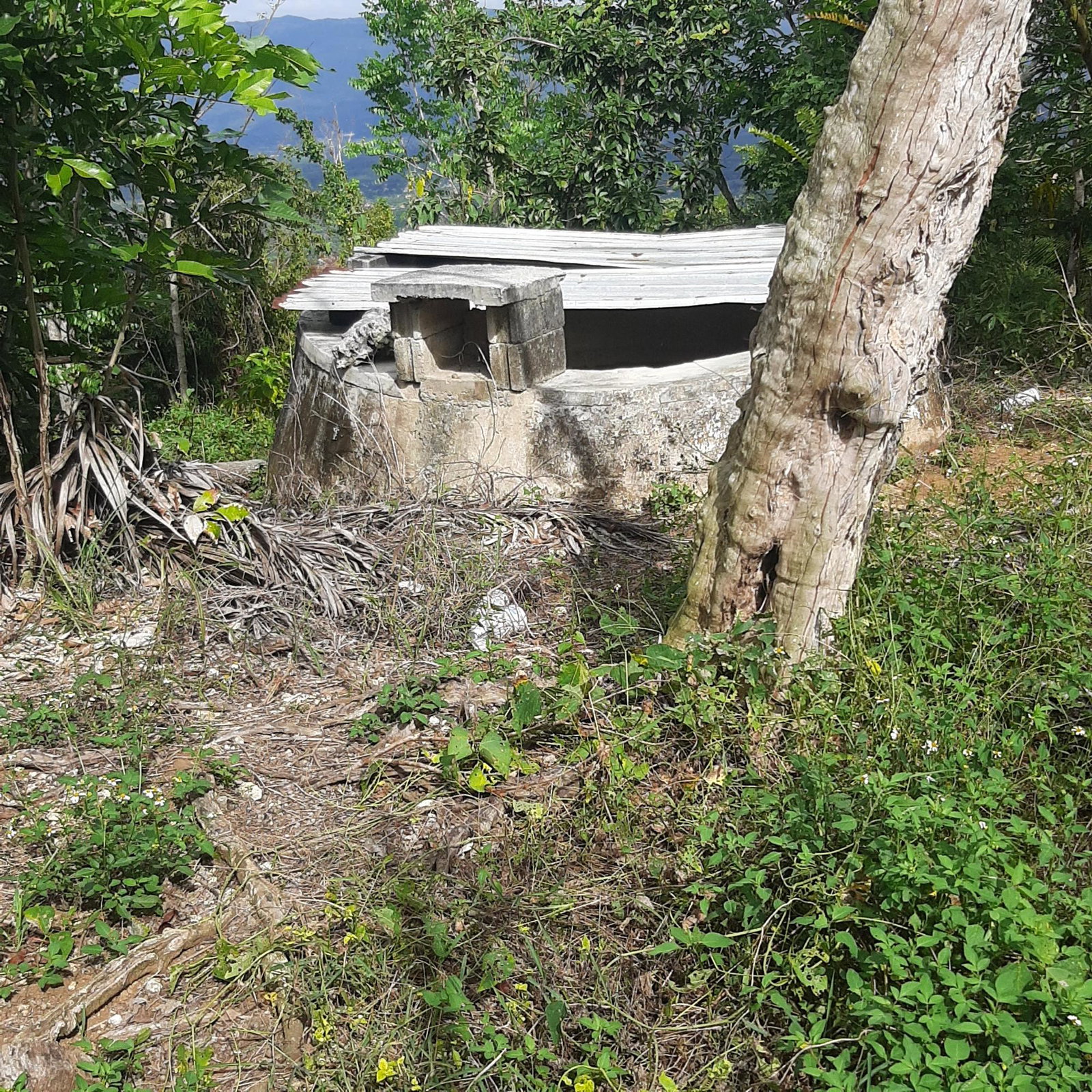 Eighth image of Schoolfield, Prosper in Prosper, St. Elizabeth, Jamaica - property is For Sale