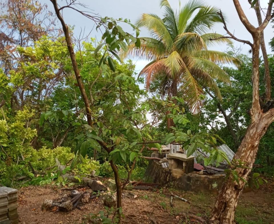First image of Schoolfield, Prosper in Prosper, St. Elizabeth, Jamaica - property is For Sale