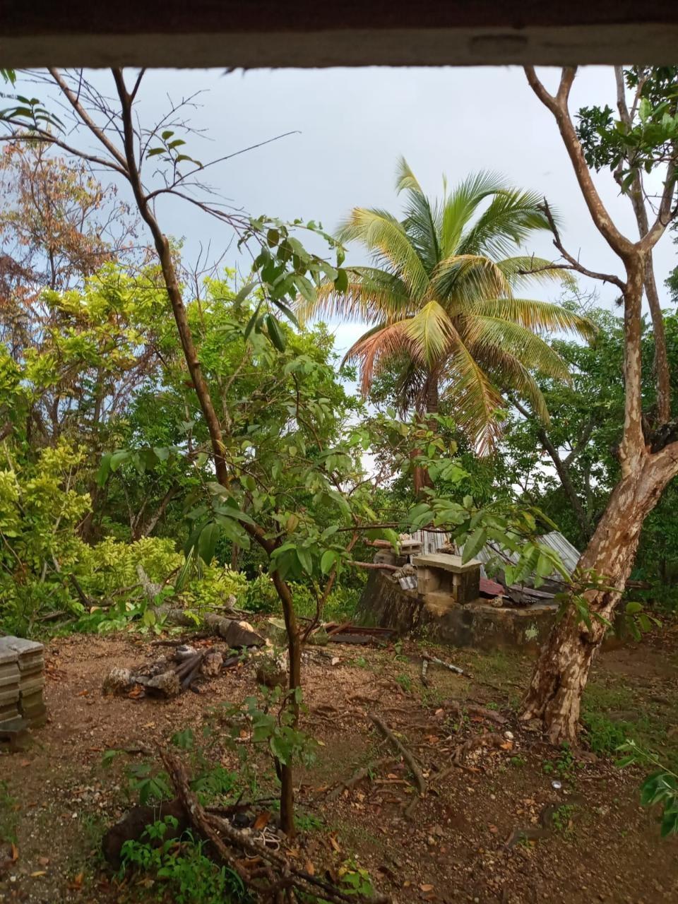 First image of Schoolfield, Prosper in Prosper, St. Elizabeth, Jamaica - property is For Sale