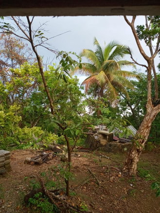 First image of Schoolfield, Prosper in Prosper, St. Elizabeth, Jamaica - property is For Sale