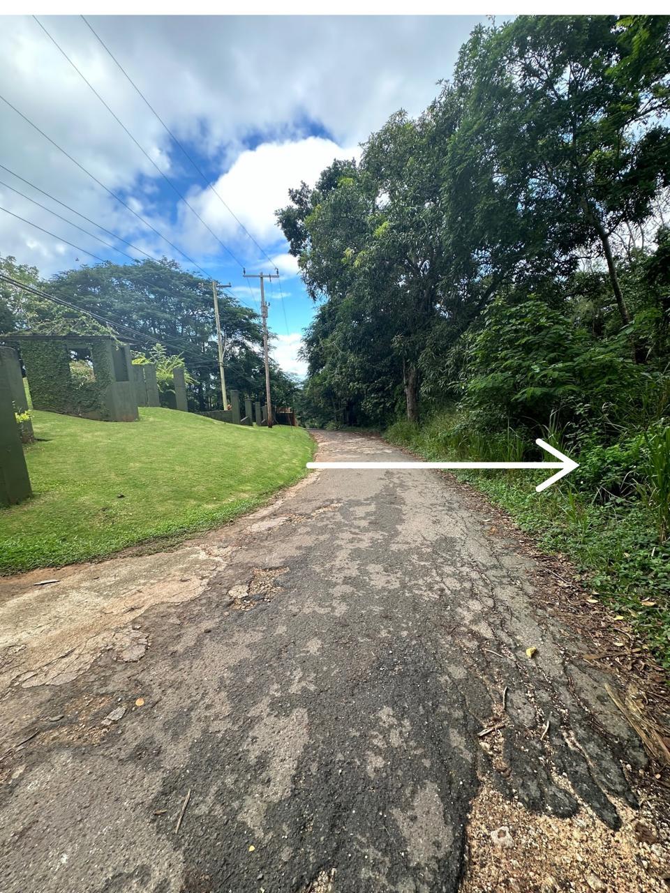 Second image of Upton in Upton, St. Ann, Jamaica - property is For Sale