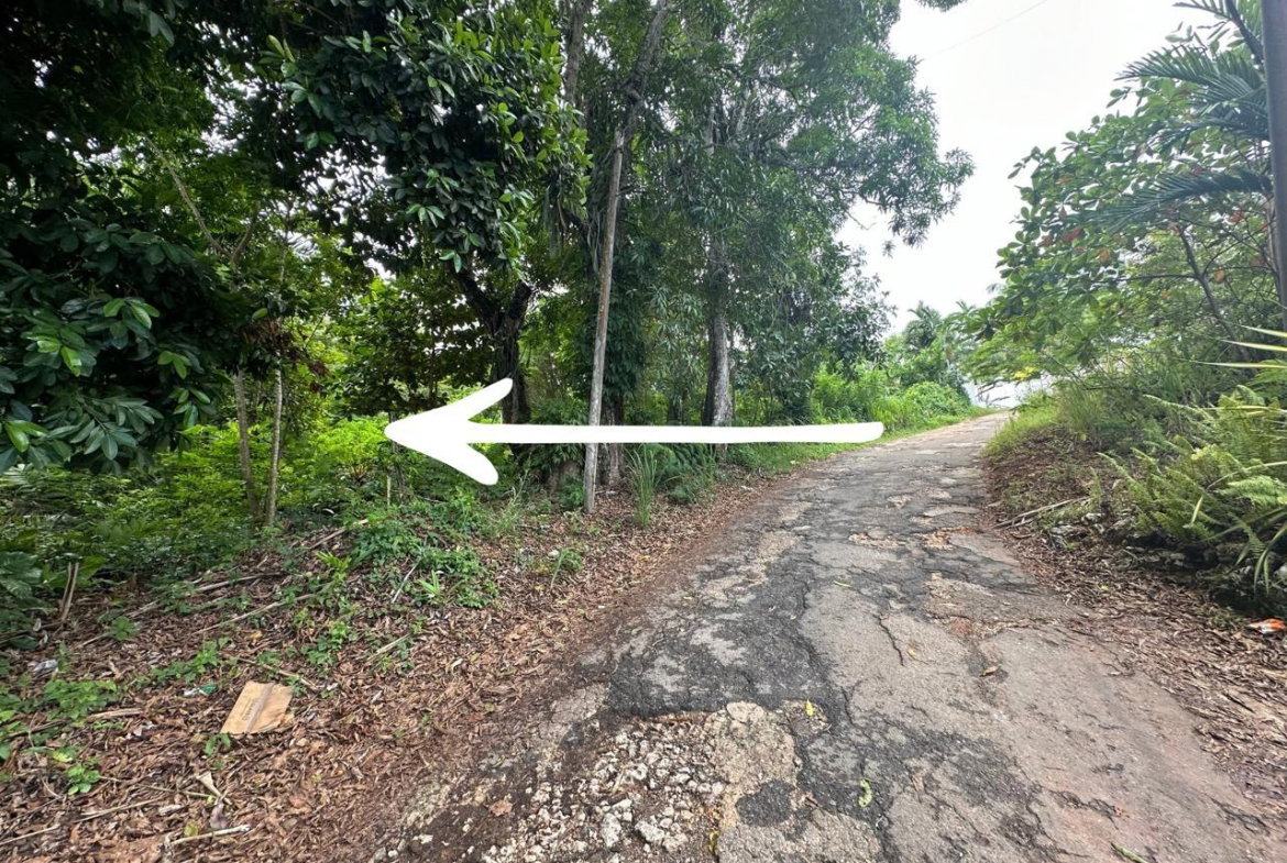 Third image of Upton in Upton, St. Ann, Jamaica - property is For Sale