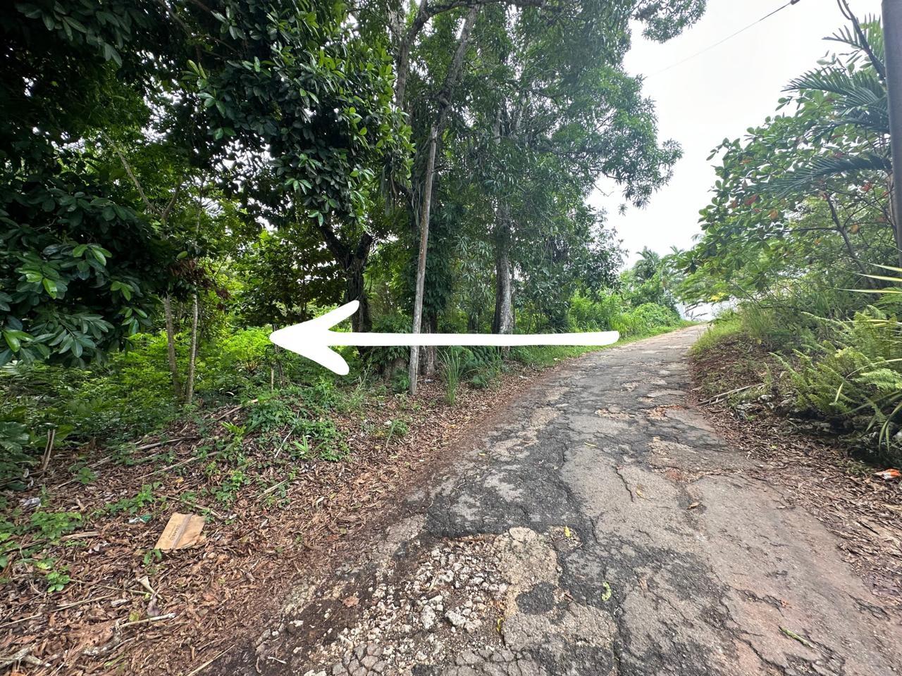 Third image of Upton in Upton, St. Ann, Jamaica - property is For Sale
