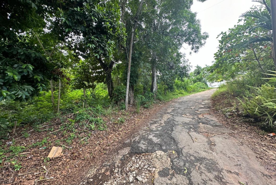 Sixth image of Upton in Upton, St. Ann, Jamaica - property is For Sale