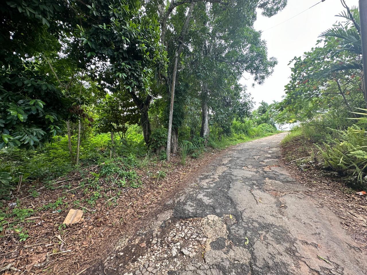 Sixth image of Upton in Upton, St. Ann, Jamaica - property is For Sale