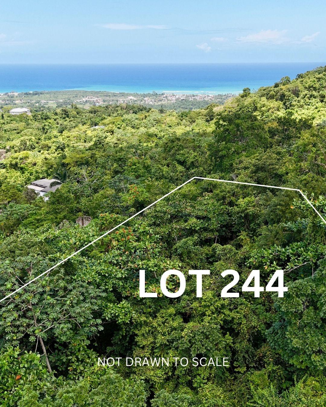 1.5-Acre-Residential-Lot-with-Caribbean-Sea-Views-in-Cardiff-Hall-Runaway-Bay-St.-Ann Second image of 244- Cardiff Hall in Runaway Bay, St. Ann, Jamaica - property is For Sale