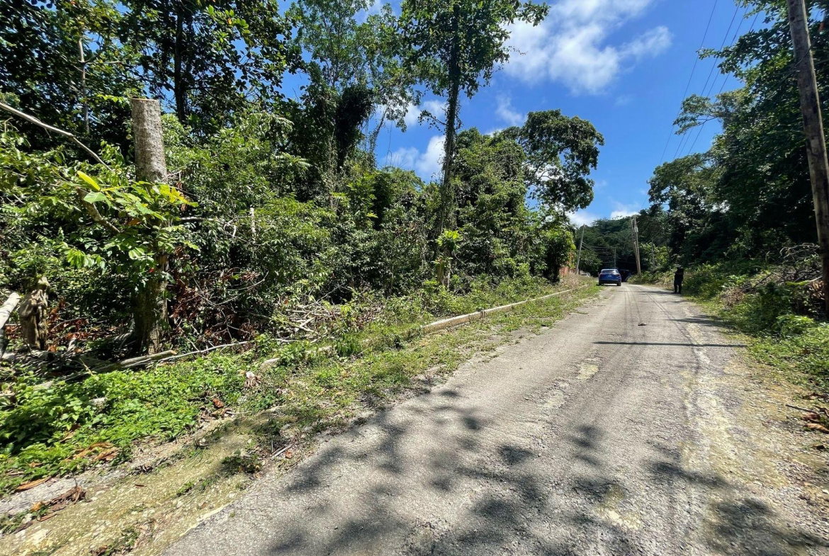 Fourth image of 244- Cardiff Hall in Runaway Bay, St. Ann, Jamaica - property is For Sale