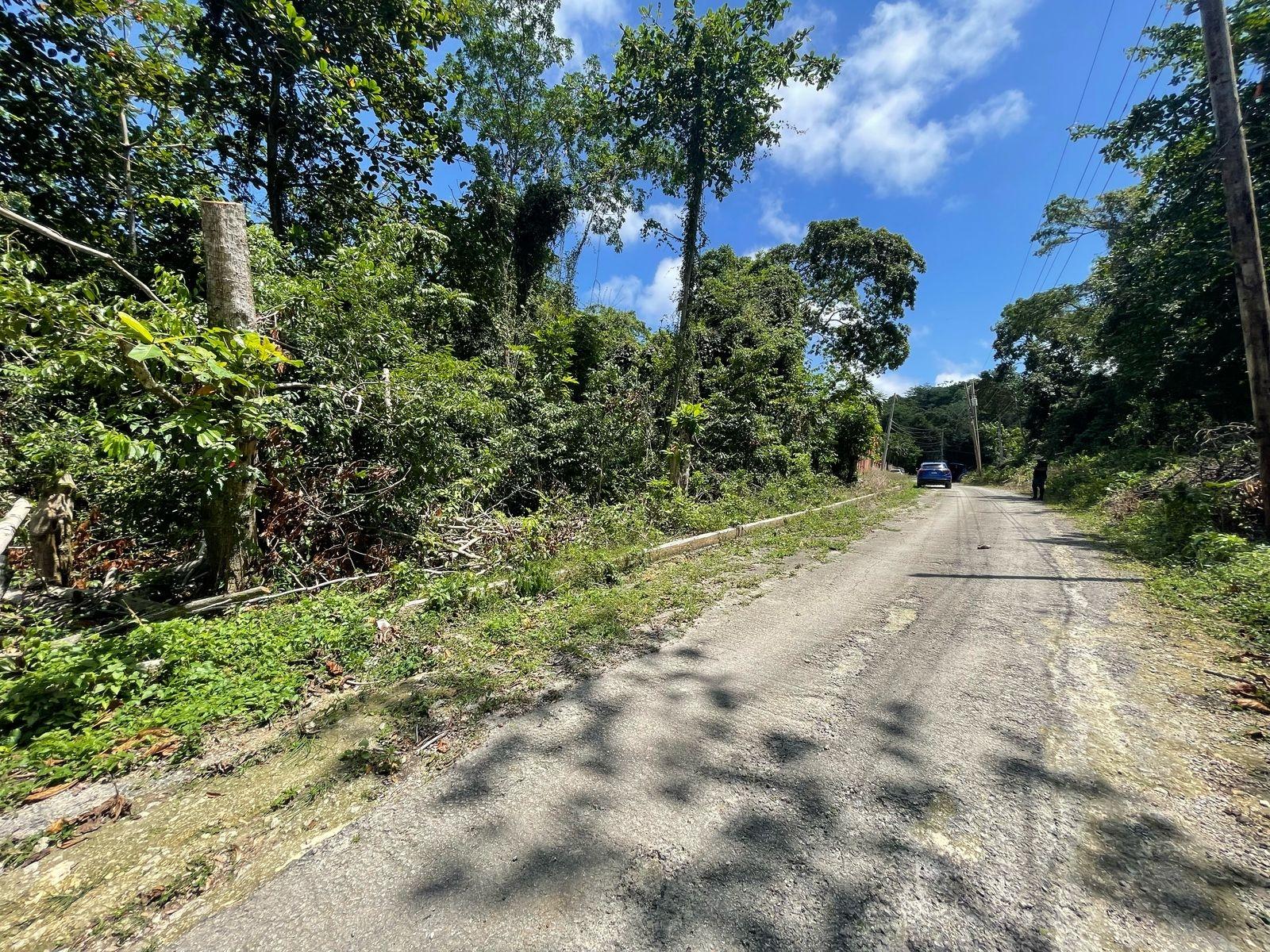 1.5-Acre-Residential-Lot-with-Caribbean-Sea-Views-in-Cardiff-Hall-Runaway-Bay-St.-Ann Fourth image of 244- Cardiff Hall in Runaway Bay, St. Ann, Jamaica - property is For Sale