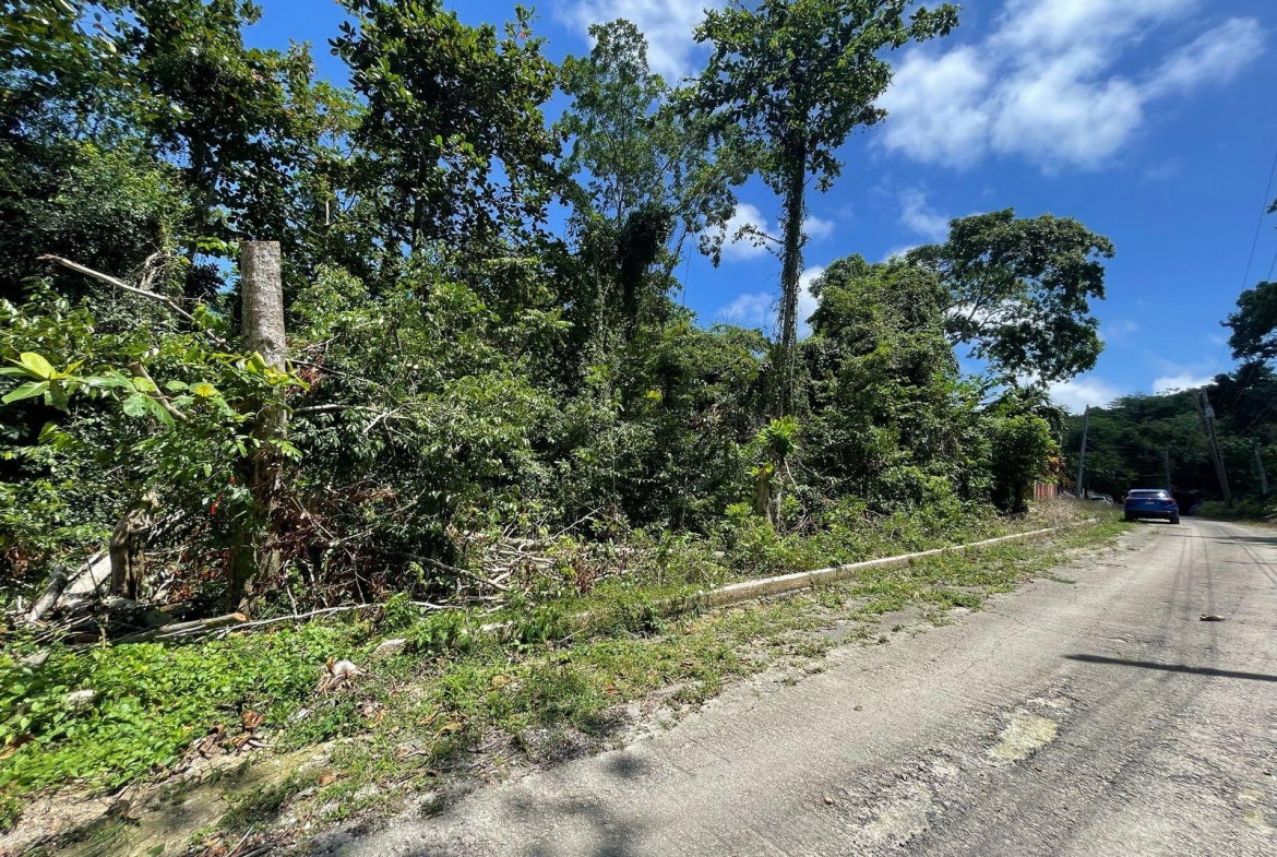 Fifth image of 244- Cardiff Hall in Runaway Bay, St. Ann, Jamaica - property is For Sale