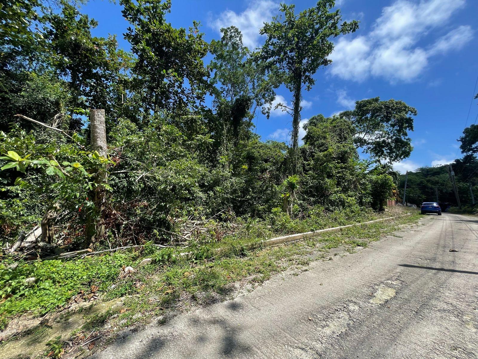 1.5-Acre-Residential-Lot-with-Caribbean-Sea-Views-in-Cardiff-Hall-Runaway-Bay-St.-Ann Fifth image of 244- Cardiff Hall in Runaway Bay, St. Ann, Jamaica - property is For Sale