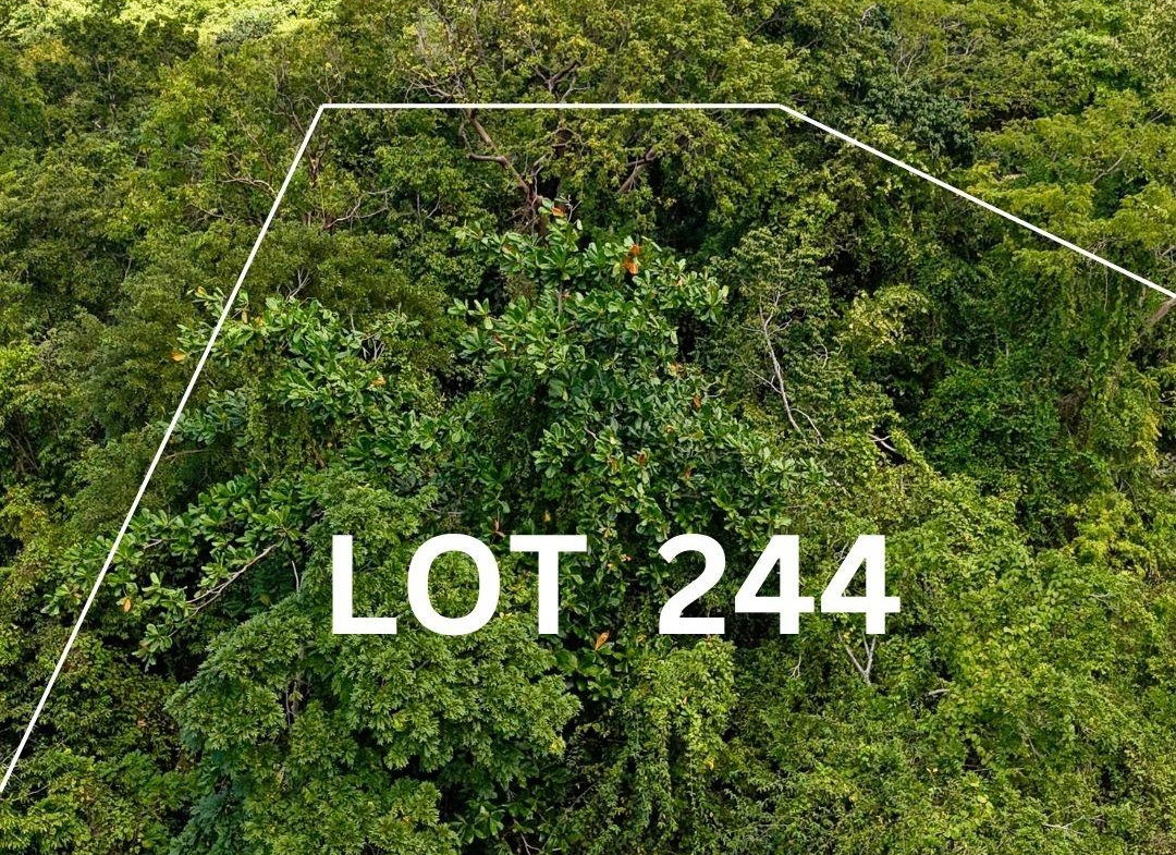 Sixth image of 244- Cardiff Hall in Runaway Bay, St. Ann, Jamaica - property is For Sale