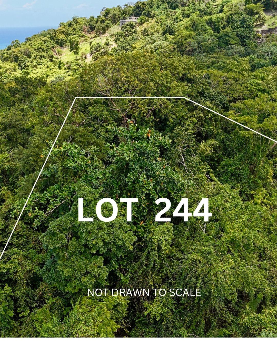 1.5-Acre-Residential-Lot-with-Caribbean-Sea-Views-in-Cardiff-Hall-Runaway-Bay-St.-Ann Sixth image of 244- Cardiff Hall in Runaway Bay, St. Ann, Jamaica - property is For Sale