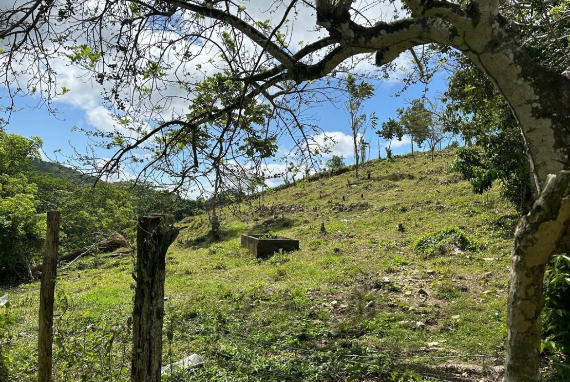 First image of 14 Content 2 L/s Ramble in Ramble, Hanover, Jamaica - property is For Sale