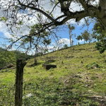 First image of 14 Content 2 L/s Ramble in Ramble, Hanover, Jamaica - property is For Sale