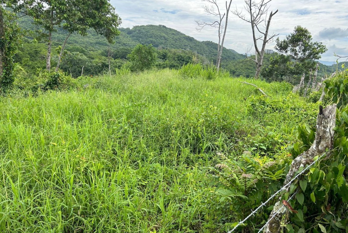 Third image of 14 Content 2 L/s Ramble in Ramble, Hanover, Jamaica - property is For Sale