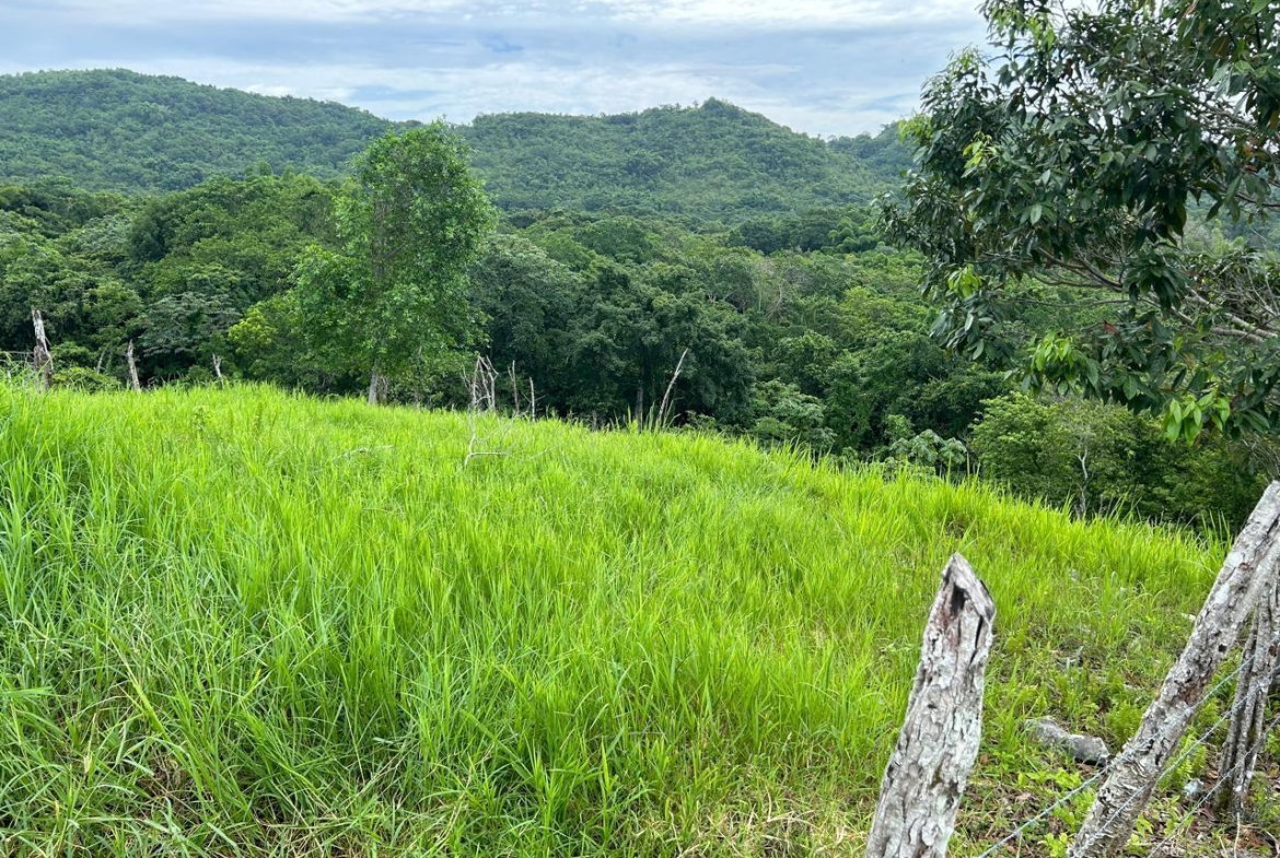 Fourth image of 14 Content 2 L/s Ramble in Ramble, Hanover, Jamaica - property is For Sale