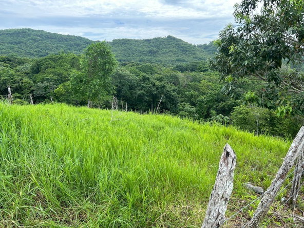 Fourth image of 14 Content 2 L/s Ramble in Ramble, Hanover, Jamaica - property is For Sale