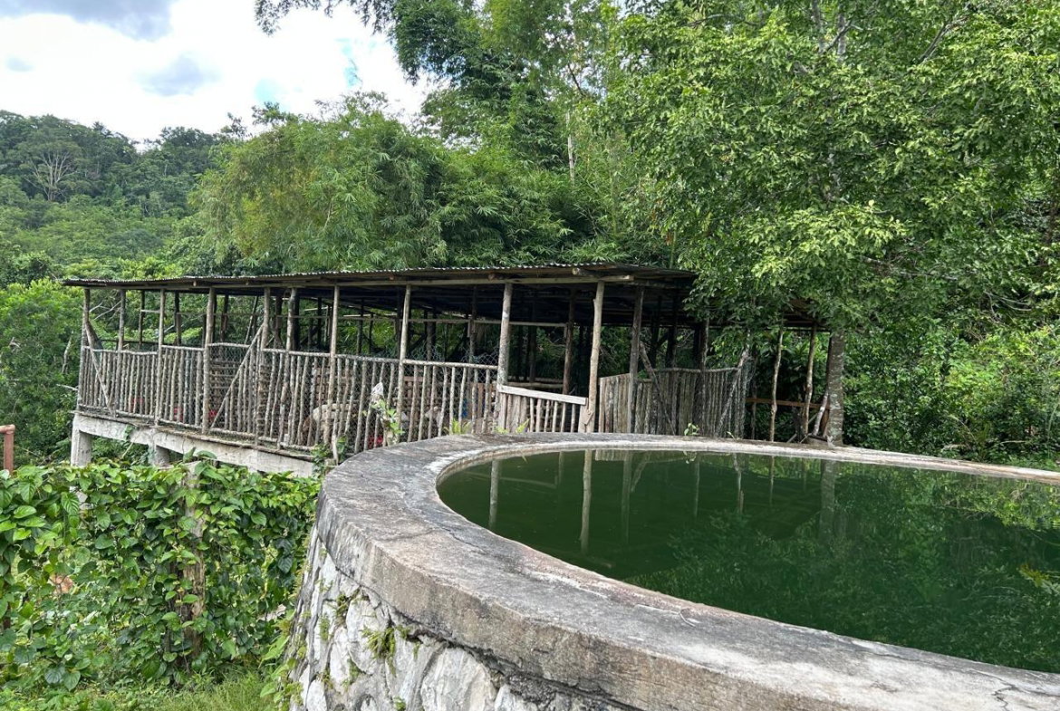 Fifth image of 14 Content 2 L/s Ramble in Ramble, Hanover, Jamaica - property is For Sale