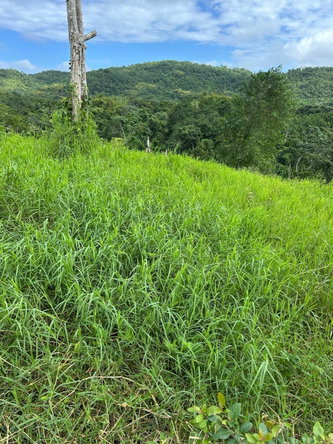 Sixth image of 14 Content 2 L/s Ramble in Ramble, Hanover, Jamaica - property is For Sale