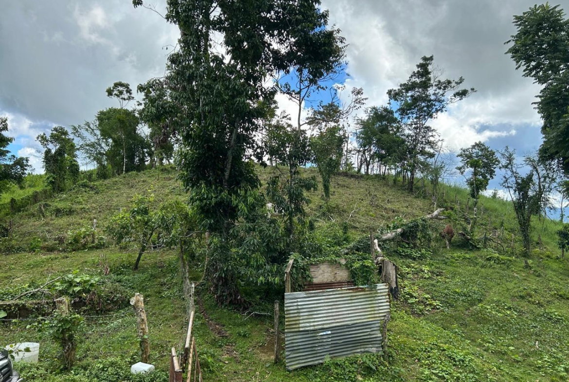 Seventh image of 14 Content 2 L/s Ramble in Ramble, Hanover, Jamaica - property is For Sale