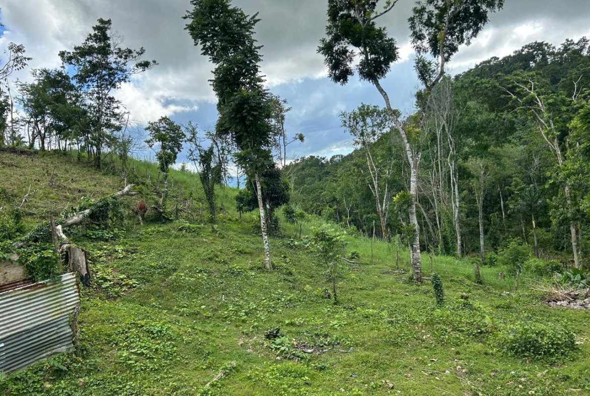 Eighth image of 14 Content 2 L/s Ramble in Ramble, Hanover, Jamaica - property is For Sale