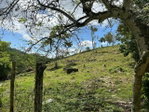 First image of 14 Content 2 L/s Ramble in Ramble, Hanover, Jamaica - property is For Sale