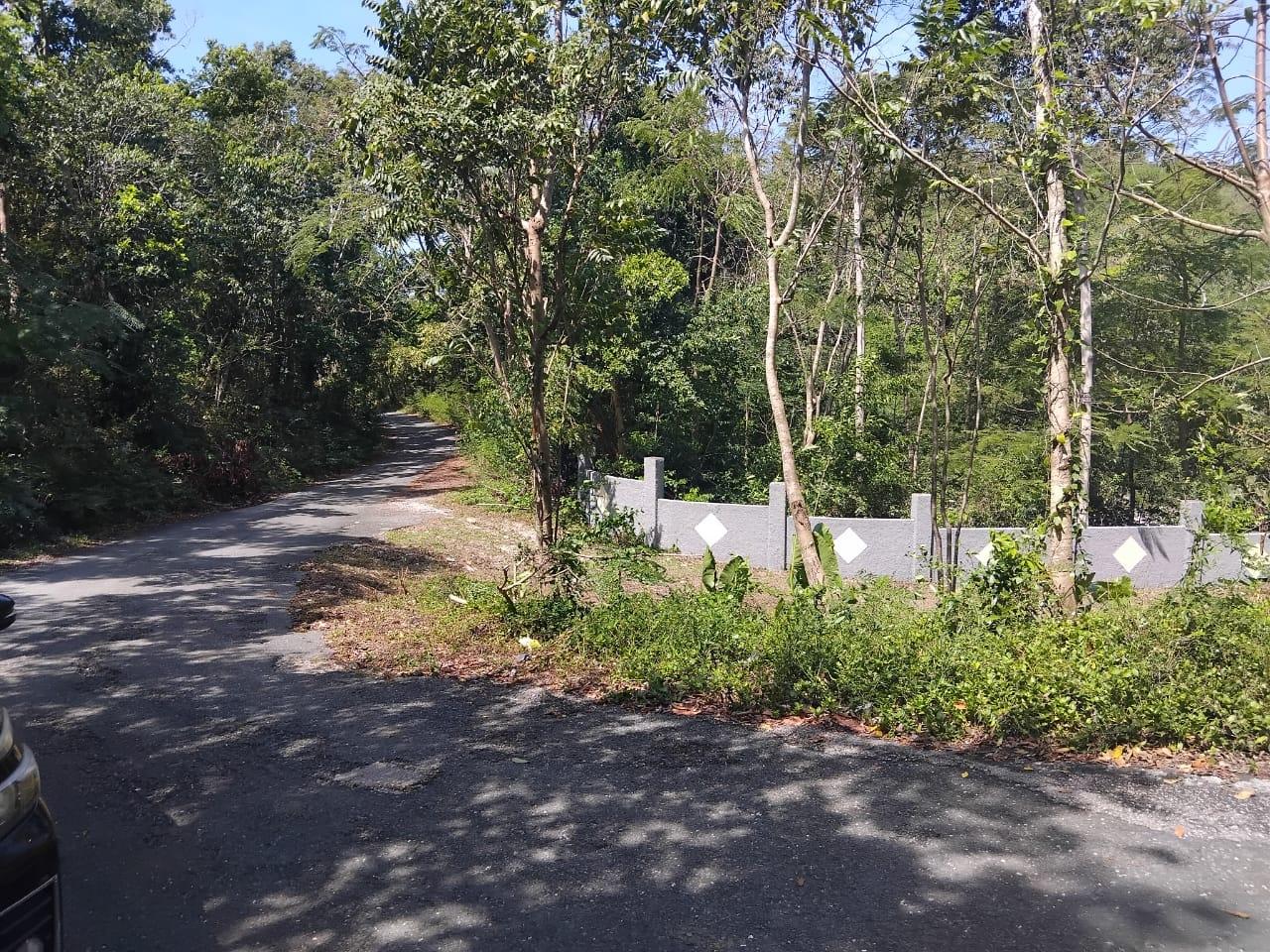 Second image of Orange Grove, White Hou in Aberdeen, St. Elizabeth, Jamaica - property is For Sale