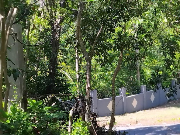 Third image of Orange Grove, White Hou in Aberdeen, St. Elizabeth, Jamaica - property is For Sale