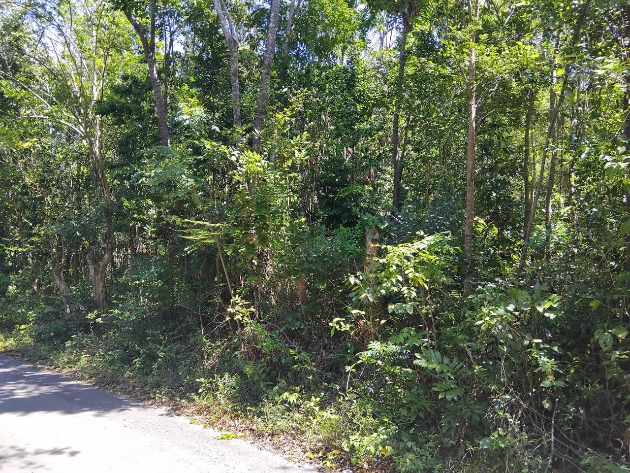 First image of Orange Grove, White Hou in Aberdeen, St. Elizabeth, Jamaica - property is For Sale