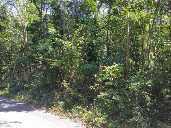 First image of Orange Grove, White Hou in Aberdeen, St. Elizabeth, Jamaica - property is For Sale