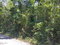 First image of Orange Grove, White Hou in Aberdeen, St. Elizabeth, Jamaica - property is For Sale