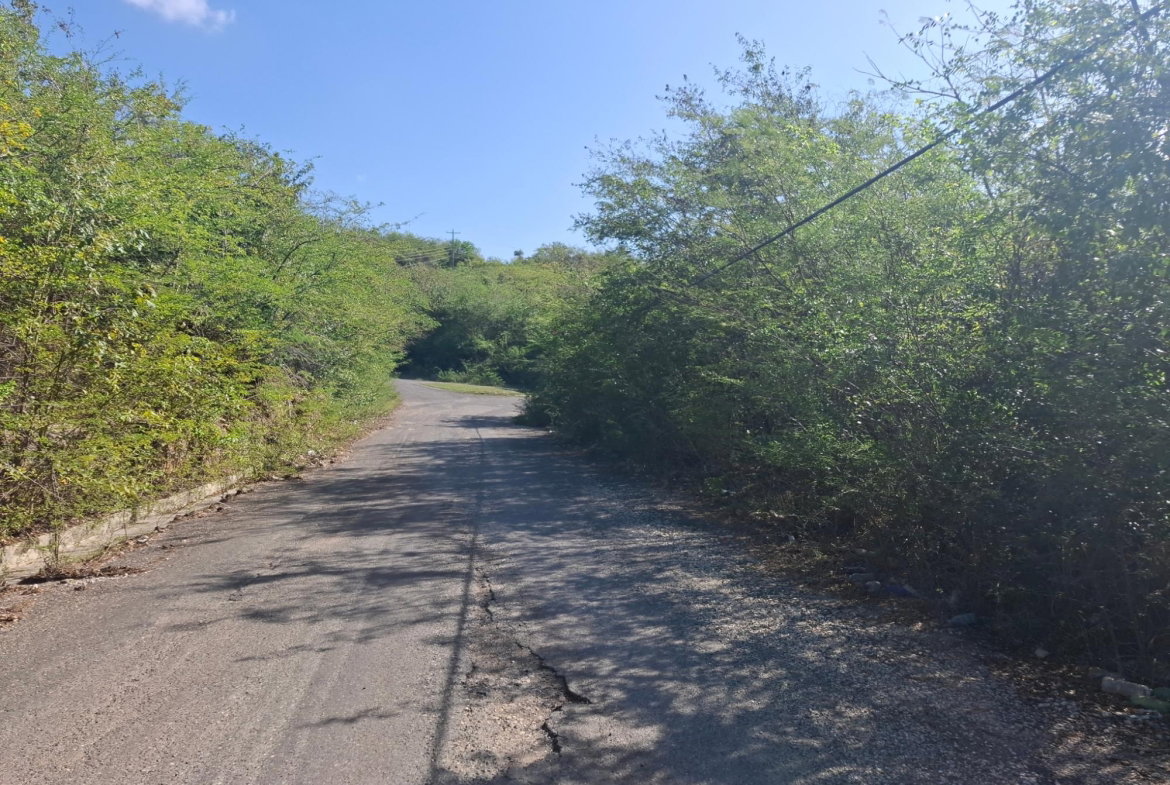 Second image of Sevens Plantation Estate in May Pen, Clarendon, Jamaica - property is For Sale