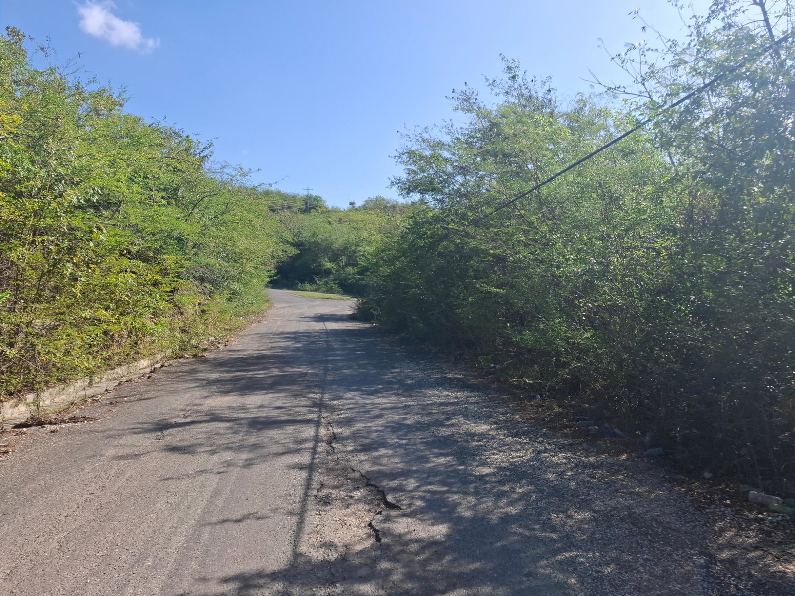 Second image of Sevens Plantation Estate in May Pen, Clarendon, Jamaica - property is For Sale