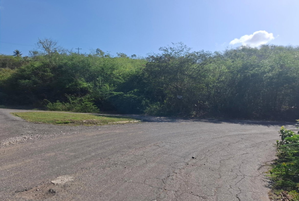 First image of Sevens Plantation Estate in May Pen, Clarendon, Jamaica - property is For Sale
