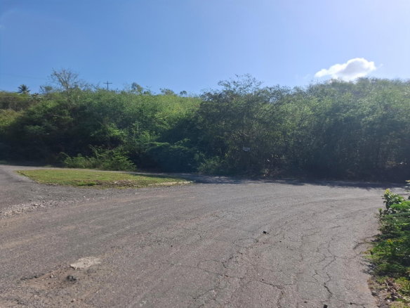 First image of Sevens Plantation Estate in May Pen, Clarendon, Jamaica - property is For Sale