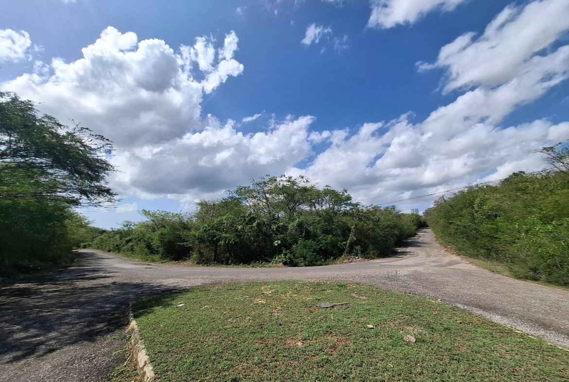 Eighth image of Sevens Plantation Estate in May Pen, Clarendon, Jamaica - property is For Sale