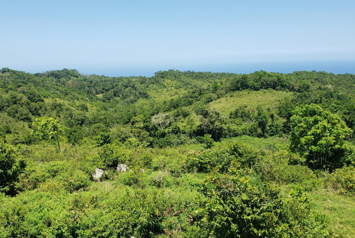 Second image of Arthurs Seat, Epworth in Epworth, St. Ann, Jamaica - property is For Sale