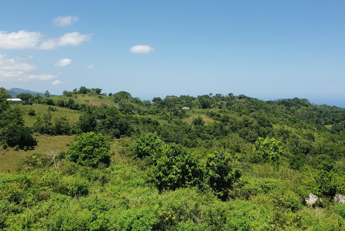 First image of Arthurs Seat, Epworth in Epworth, St. Ann, Jamaica - property is For Sale