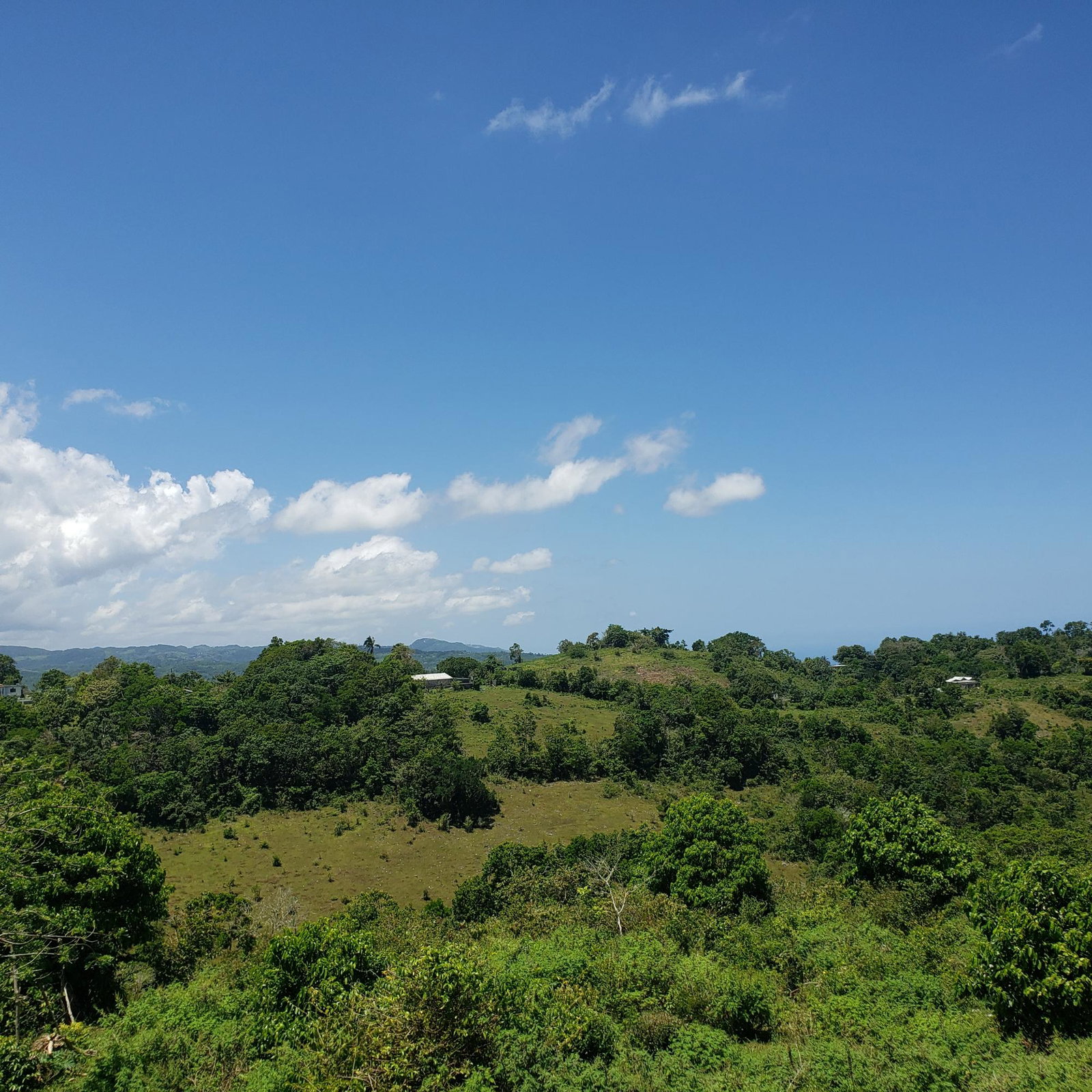 100-Acres-of-Prime-Agricultural-Land-for-Sale-in-Arthurs-Seat-St.-Ann-Jamaica Third image of Arthurs Seat, Epworth in Epworth, St. Ann, Jamaica - property is For Sale