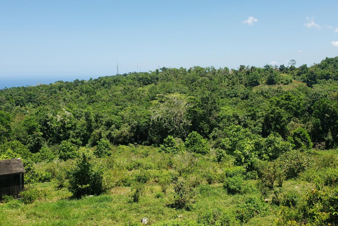 Fourth image of Arthurs Seat, Epworth in Epworth, St. Ann, Jamaica - property is For Sale