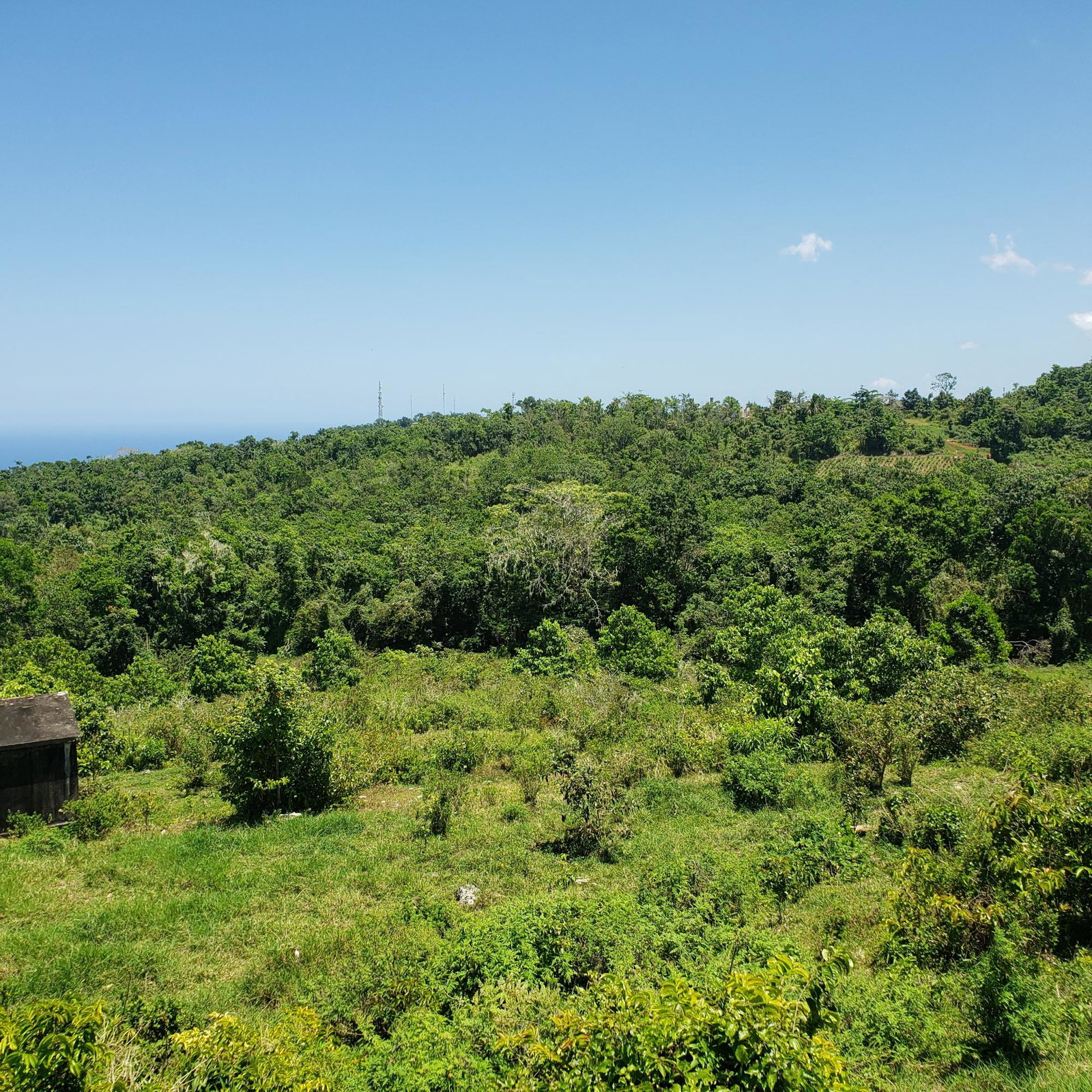 100-Acres-of-Prime-Agricultural-Land-for-Sale-in-Arthurs-Seat-St.-Ann-Jamaica Fourth image of Arthurs Seat, Epworth in Epworth, St. Ann, Jamaica - property is For Sale