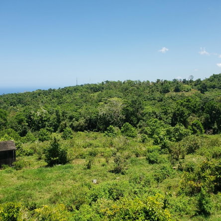 Fourth image of Arthurs Seat, Epworth in Epworth, St. Ann, Jamaica - property is For Sale