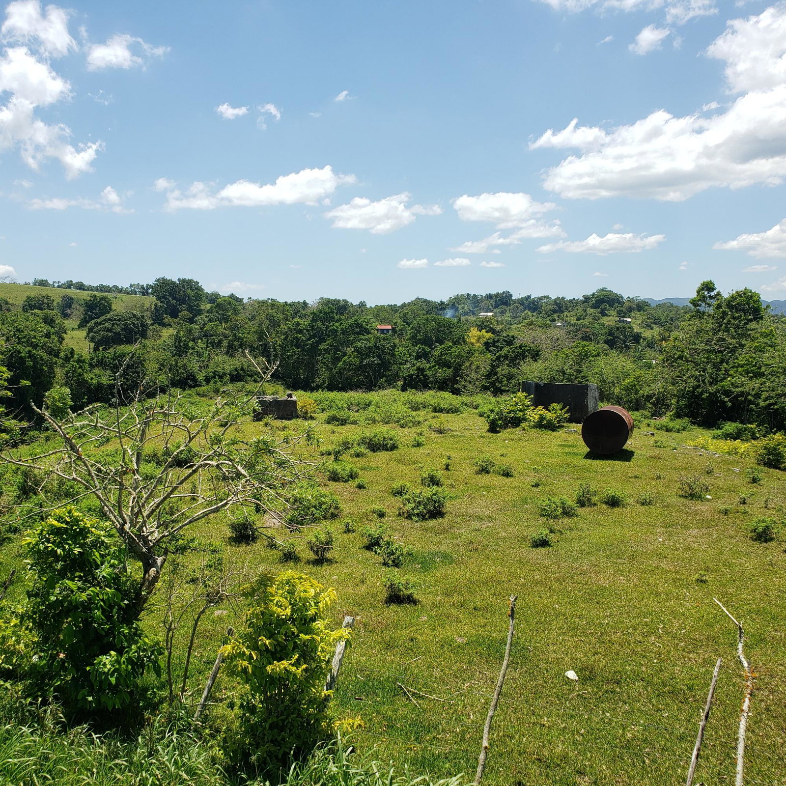100-Acres-of-Prime-Agricultural-Land-for-Sale-in-Arthurs-Seat-St.-Ann-Jamaica Fifth image of Arthurs Seat, Epworth in Epworth, St. Ann, Jamaica - property is For Sale