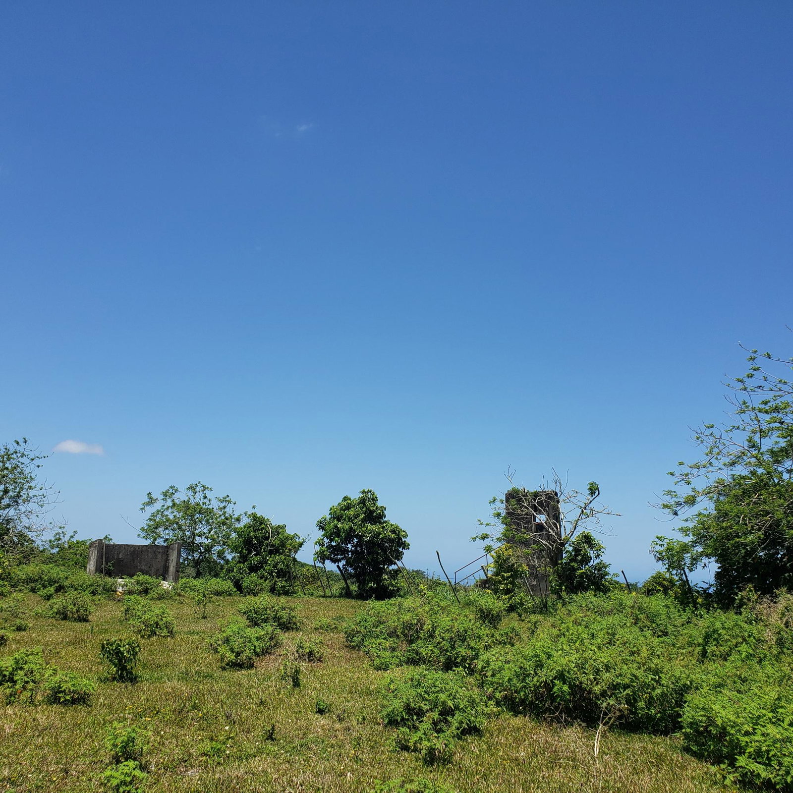 100-Acres-of-Prime-Agricultural-Land-for-Sale-in-Arthurs-Seat-St.-Ann-Jamaica Seventh image of Arthurs Seat, Epworth in Epworth, St. Ann, Jamaica - property is For Sale
