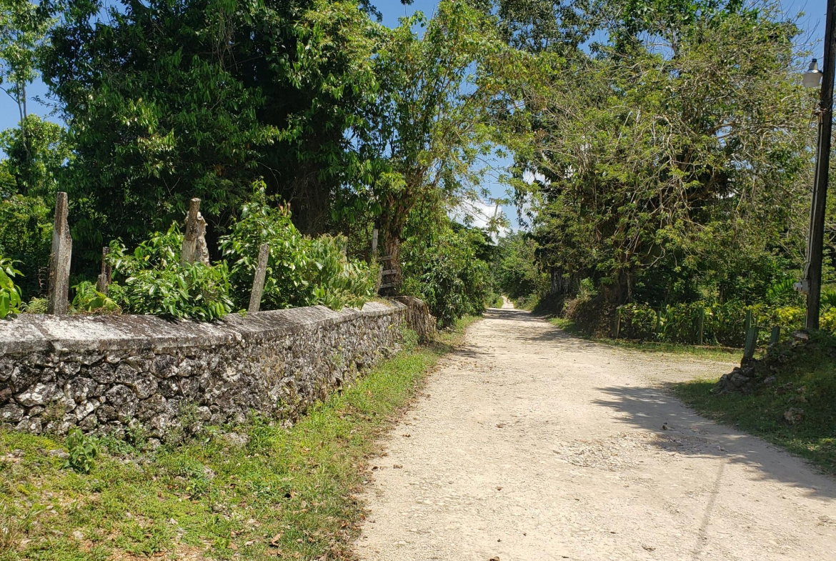 Eighth image of Arthurs Seat, Epworth in Epworth, St. Ann, Jamaica - property is For Sale