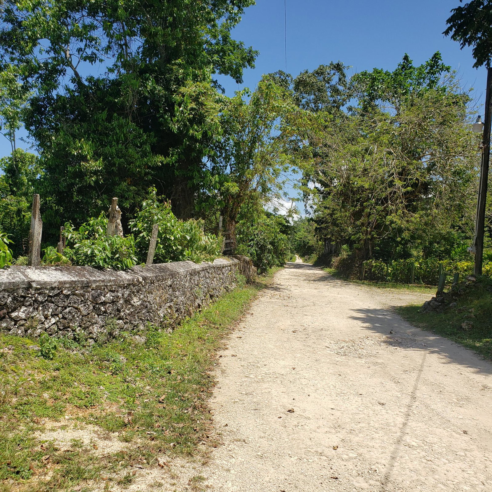 100-Acres-of-Prime-Agricultural-Land-for-Sale-in-Arthurs-Seat-St.-Ann-Jamaica Eighth image of Arthurs Seat, Epworth in Epworth, St. Ann, Jamaica - property is For Sale