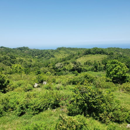 Ninth image of Arthurs Seat, Epworth in Epworth, St. Ann, Jamaica - property is For Sale