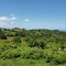 First image of Arthurs Seat, Epworth in Epworth, St. Ann, Jamaica - property is For Sale